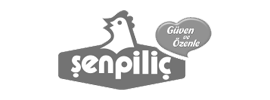 senpilic-logo senpilic-logo